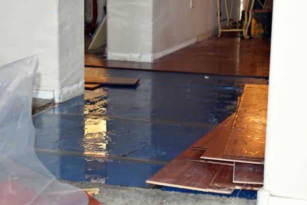 Professional Sewage Cleanup technician working in Watervliet, MI